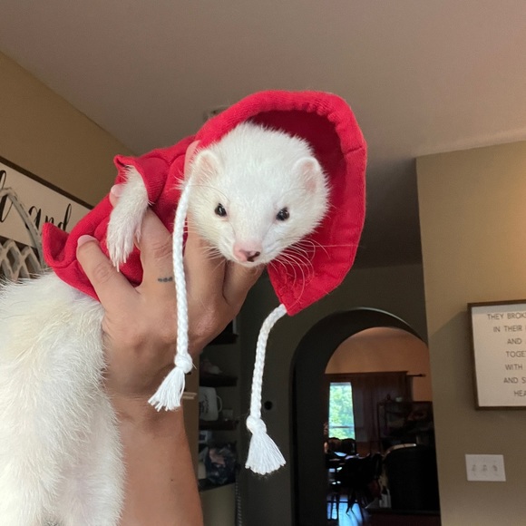 Meet your Posher, Andrea - Picture 1 of 1